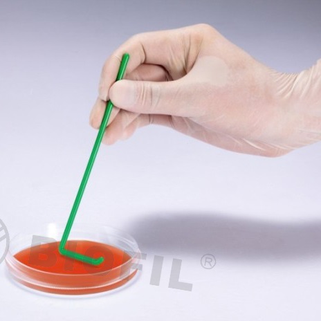 L��ϸ�������ư�